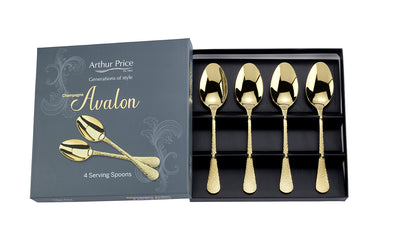 Champagne Avalon Set of 4 Serving Spoons